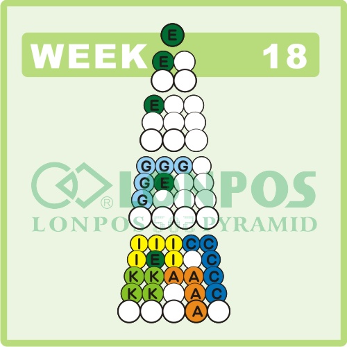 Zadanie na 18 tydzień roku - Lonpos 505 3D